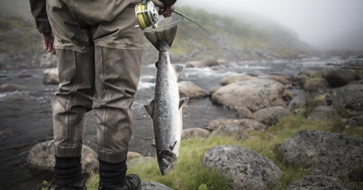 Fisking for lærevillige nybegynnere