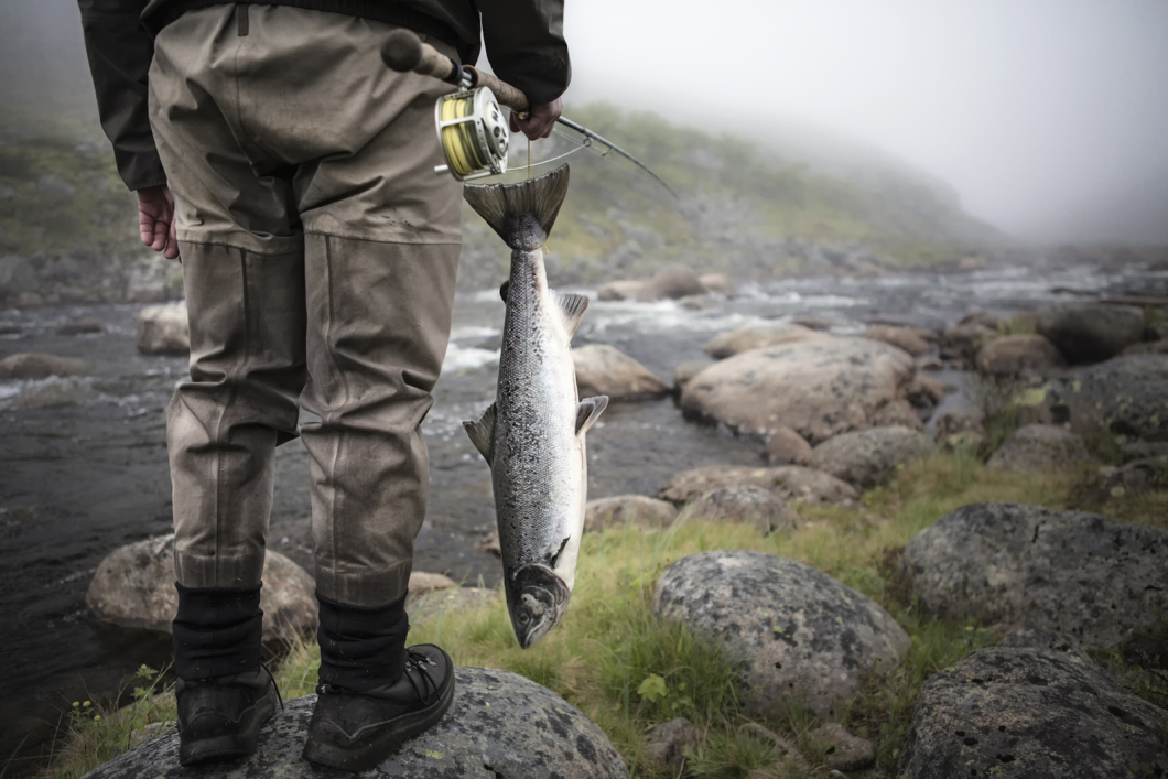 Fisking for lærevillige nybegynnere